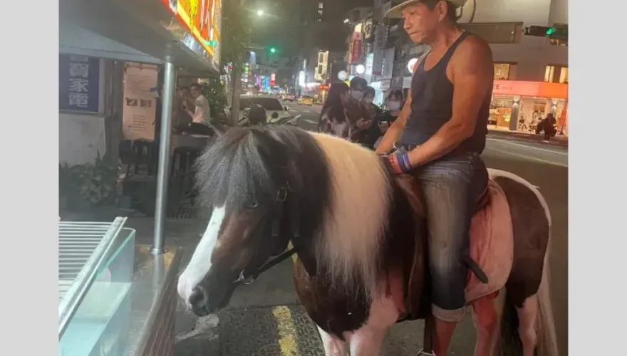 超狂！台中劍道教練「騎馬上街」　乖巧小馬哥夜行5公里驚呆路人