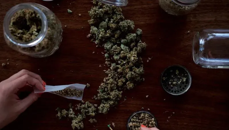 泰國未來6個月內取消「娛樂用大麻」！全數回歸醫療用途