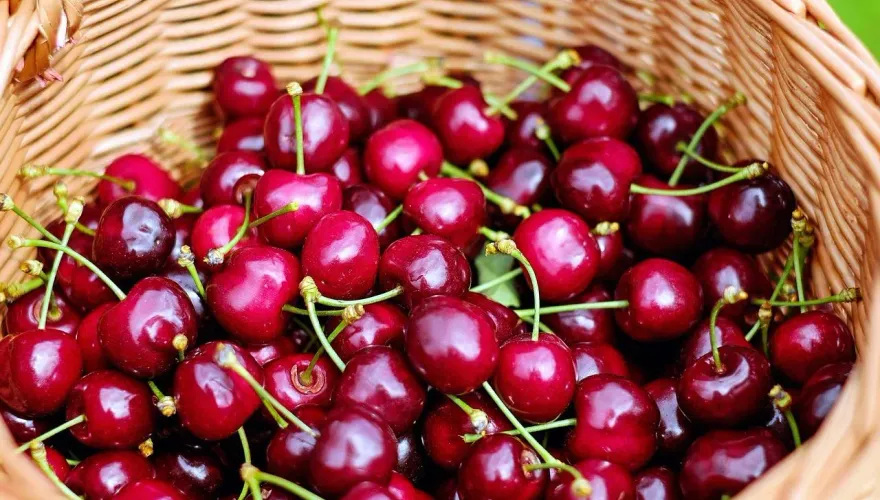 不必狂喝紅豆湯！10種「補鐵食物」大公開：動物性所含鐵質更好吸收