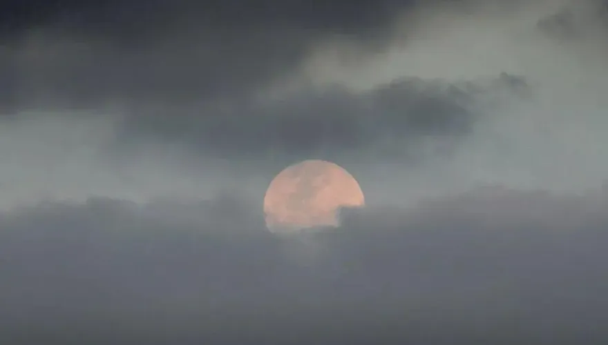 東北季風發威！中秋連假「天天有雨」　1圖秒懂賞月機率