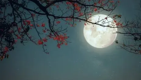 中秋開運小撇步！往東北方向散步賞月　最旺桃花和財運