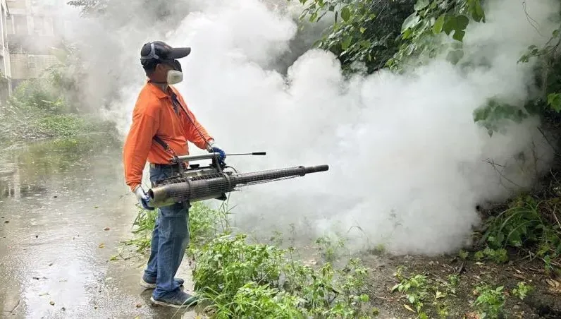 登革熱燒不停！中秋前沒壓下恐更糟　忽略「這動作」百隻病蚊一次誕生
