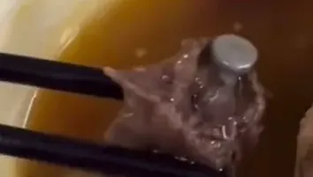 女子喝湯驚見「肉上插著一根釘」　網一看直呼「是人肉快報警！」
