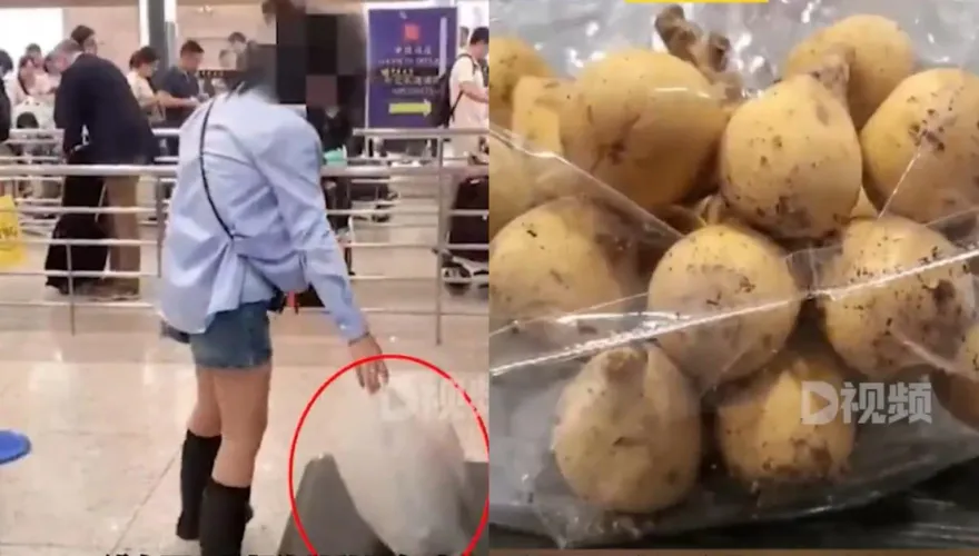影/不是長蟲！用水果「偷渡」49隻活體昆蟲被逮　網友嘲：蛋白質超標了