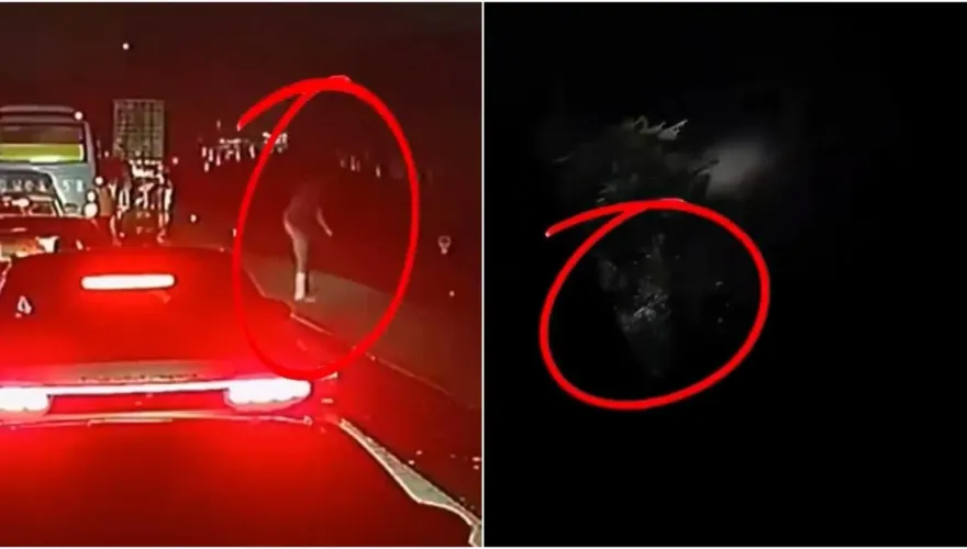 影/人在冏途！開夜車塞爆偏又尿急　誤把高架圍欄當分隔島「一躍而下」