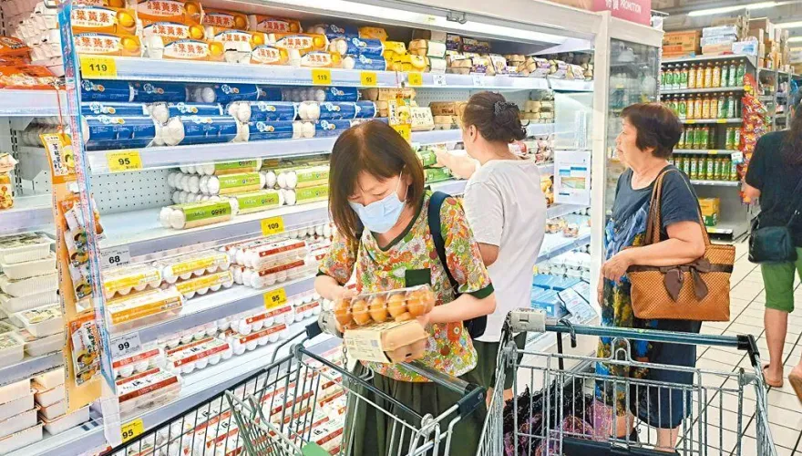 蛋價重回歷史高點！　洪孟楷轟蔡政府：浪費公帑7.7億元誰負責？