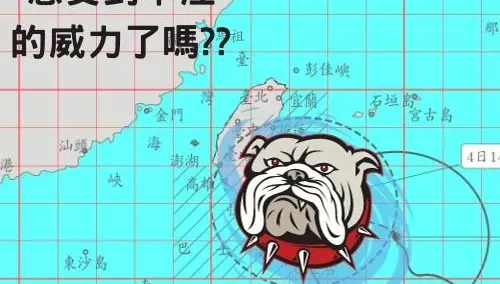 小犬颱風/苗栗颳大風！消防局哏圖「感受到本汪的威力了嗎？」　籲及早防颱