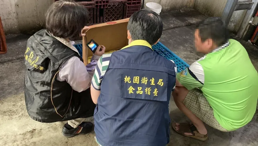 桃市衛生局查獲美豬「洗產地」逾10萬公斤　恐早被民眾吃下肚