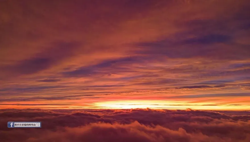 壯觀罕景！「火燒雲海」現蹤阿里山　粉專指1原因：小犬恐成今年最兇颱風