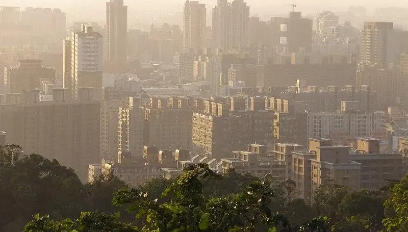 《住宅法》修正草案將送立院審議　租金補貼資訊不得做為查稅依據