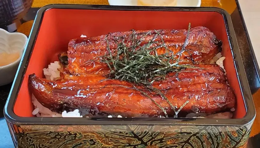 吃鰻魚飯被刺傷！高中生怒告餐廳　檢察官不起訴：有魚刺是常識