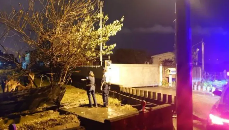 埔里黃牛夜間「逃家」占據半個車道！警及時趕牛進水田