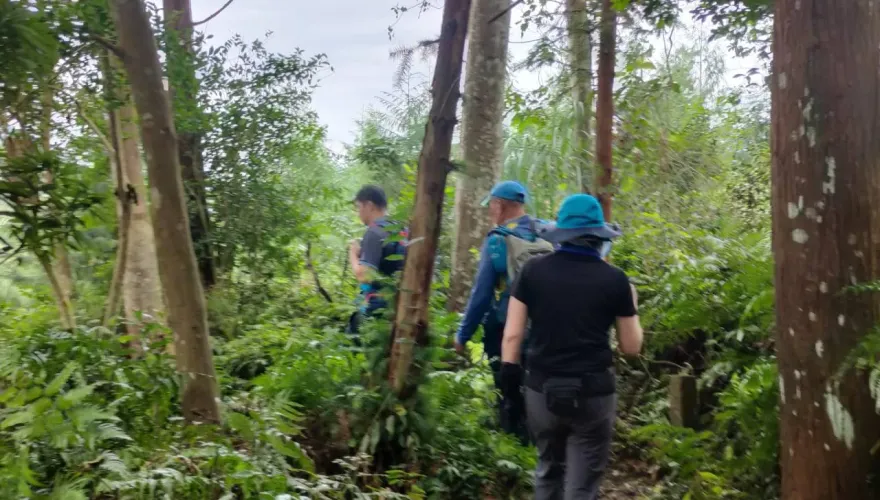 影/虎頭蜂「從地上冒出來」！苗栗42人攀「神仙縱走」遭攻擊　8人被螫傷