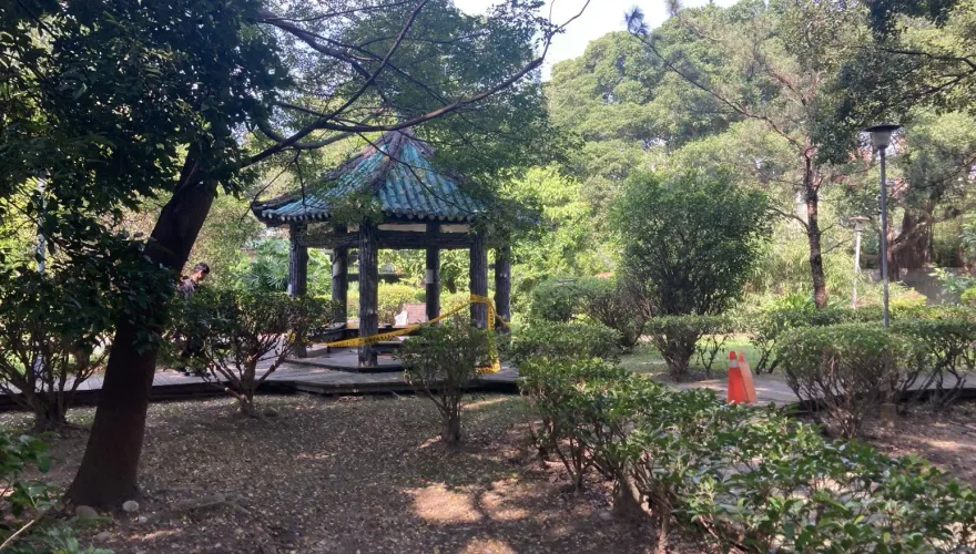 快訊/老兄太神了！街友手指被砍斷還繼續睡　樹林警急追兇