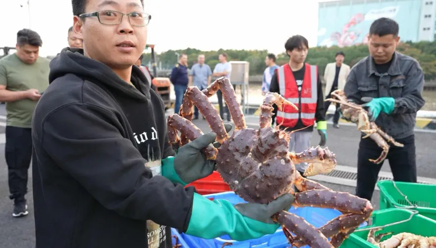 改吃俄羅斯帝王蟹！陸海關總署公布最新數據　9月日本進口水產「0資料」