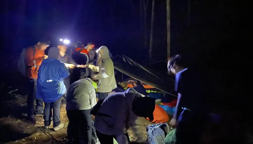 影/逢甲大學24人爬水漾森林　慘遭虎頭蜂攻擊！「臉部水腫」緊急送醫