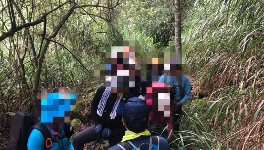 虎頭蜂最近很兇！水漾森林「2天3團22人遭螫」　登山4大點注意