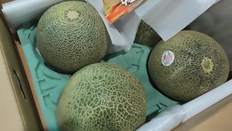 快訊/北海道哈密瓜被檢出農藥殘留！美國非基改黃豆、印度白米都上榜