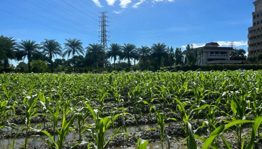 民進黨控傅崐萁及徐榛蔚違法使用農地　國民黨花蓮縣黨部：一切都照規定，沒有特權！