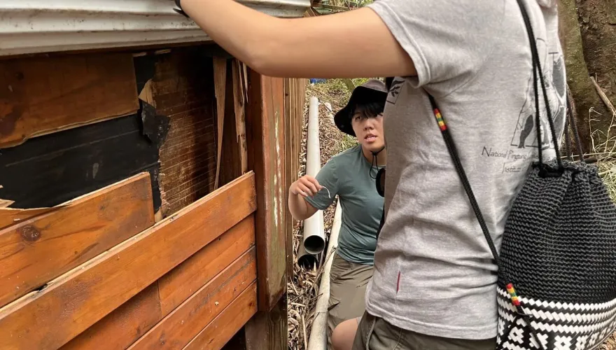 高屏黑熊活動範圍接近淺山！林業保育署籲：發現熊蹤務必立即通報