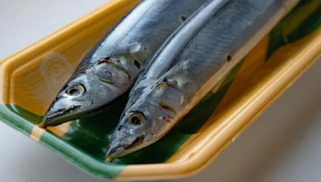 日本8月排放核汙水「首批秋刀魚抵台」！農業部：將儘速公布「採驗結果」