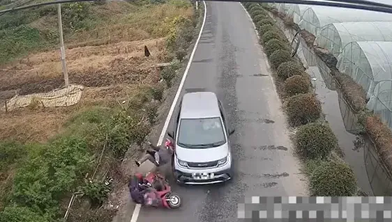 影/開車低頭看手機！男子下秒把人撞飛　下車查看竟「母子相認」傻眼