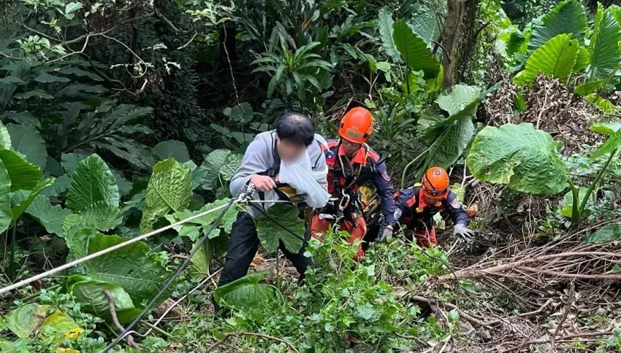 影/祖先保佑！新北男被野貓嚇到　車墜50米深谷僅輕傷