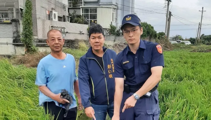 影/偷電線露餡　新竹竊賊「殭屍姿」倒臥稻田被活逮