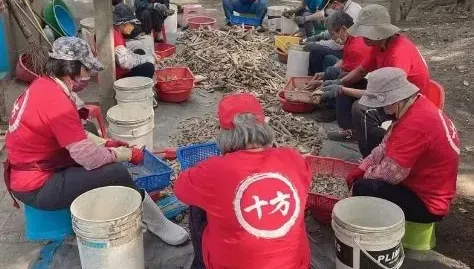 功德無量！十方義工夜宿萬人塚　耗時7個月整理土庫千名「無主骨骸」