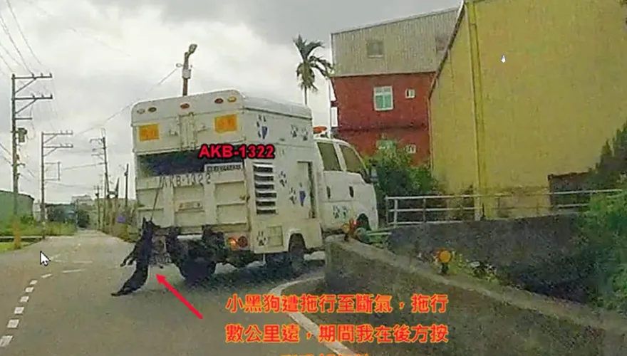 大黑狗垂吊氣絕…他駕車目擊痛心！　農業局還原事發經過：狗狗沒死
