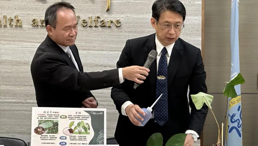 糗！錯把可食「千年芋」當「姑婆芋」被抓包　食藥署：虛心檢討