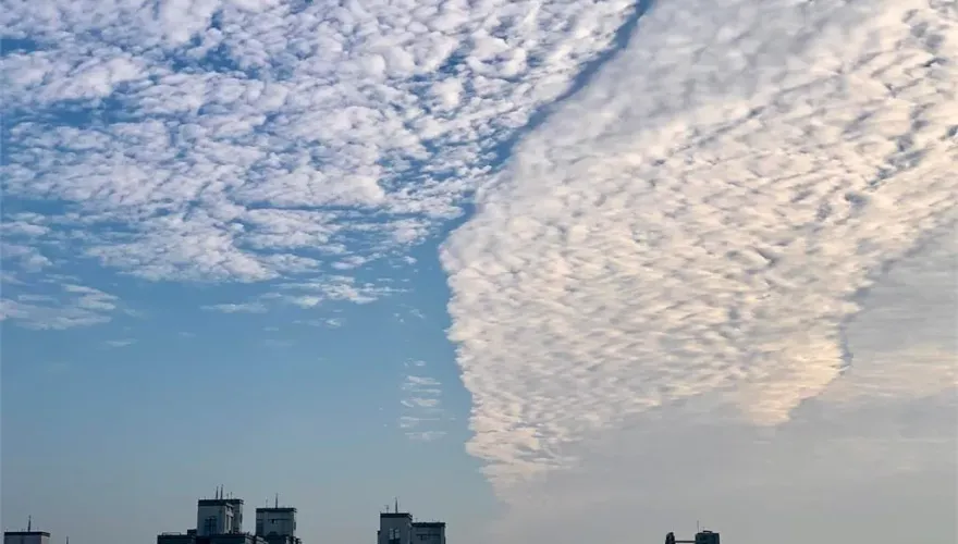 非地震雲、地震魚！　氣象署曝「真正地震前兆」