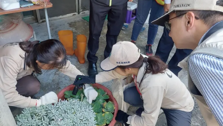 台南歸仁區爆2種型別登革熱！憂交叉感染　羅一鈞：下周起非熱區恢復PCR