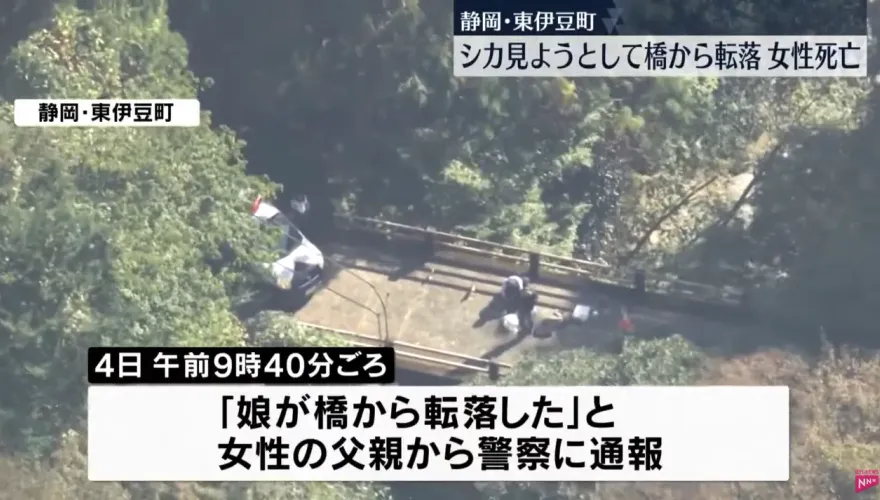 影/女子想拍野鹿卻不慎墜落40公尺橋下身亡　手機拍下墜橋前一刻照片