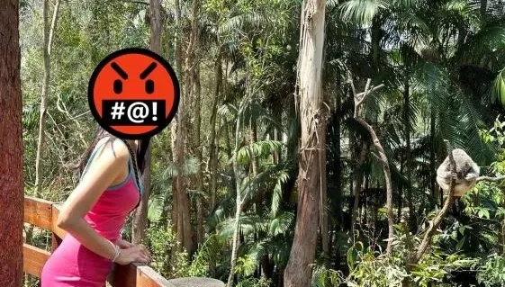 崩潰！阿喜休假遊澳遭襲胸　兇手正面照曝光遭全網肉搜