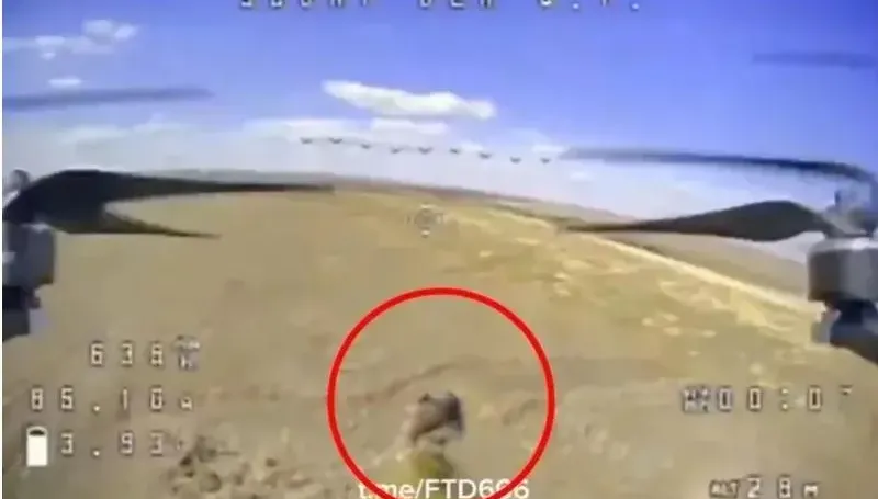 影/壯烈犧牲！誤登「自殺無人機」衝撞烏克蘭　俄軍竟替「倒楣鼠」立碑