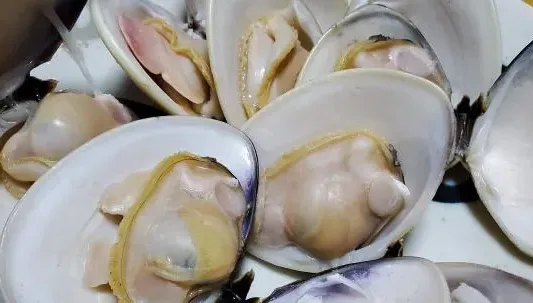 「蛤蜊」打開不一定有熟！食藥署曝「安全加熱時間」小心食物中毒