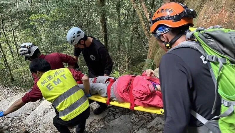 3天2起！拉拉山巨木群79歲嬤慘摔　「頭破血流」急送醫