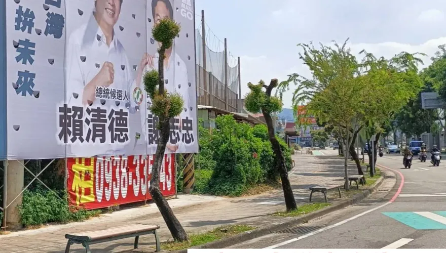 賴神自打臉？綠批特權包庇立委參選人「害路樹消失」　中市府回應了