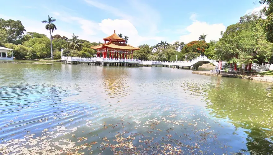 快訊/台南中山公園水池驚見浮屍　嚇壞晨運民眾
