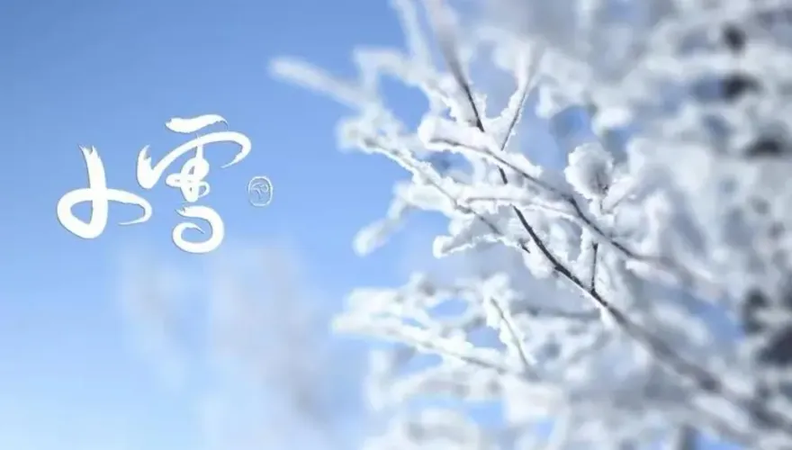 節氣「小雪」12生肖選對「穿搭顏色」　立即滋補六大能量
