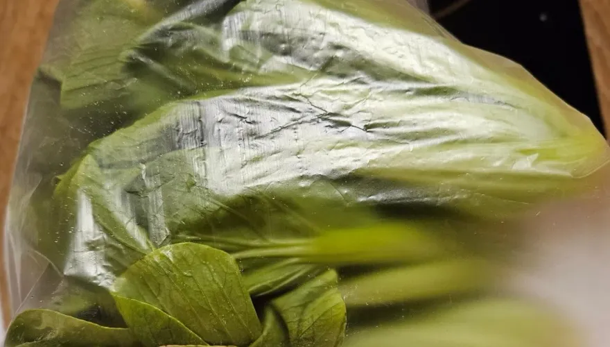 快訊/吃鍋季！火鍋料抽驗不合格！辛殿豆腐、MoMo Paradise青江菜、火鍋世家花生粉都上榜