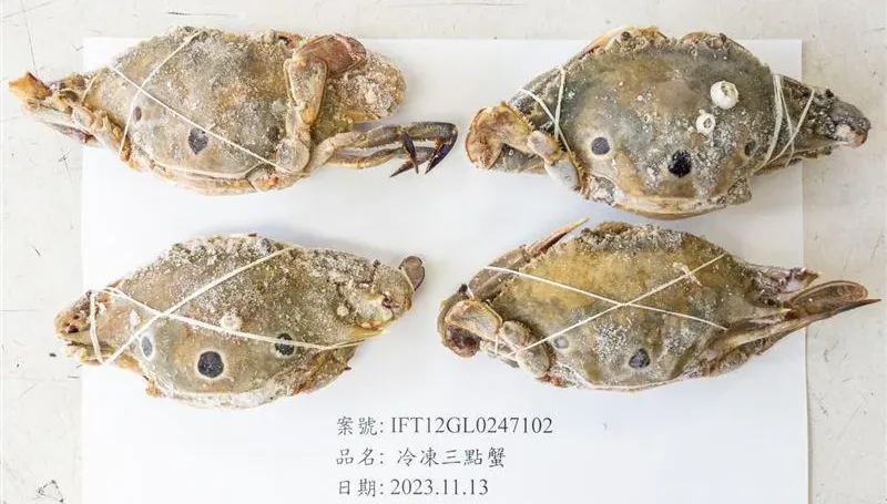 巴基斯坦三點蟹再驗出重金屬鎘超標！近1萬5千公斤螃蟹全數銷毀