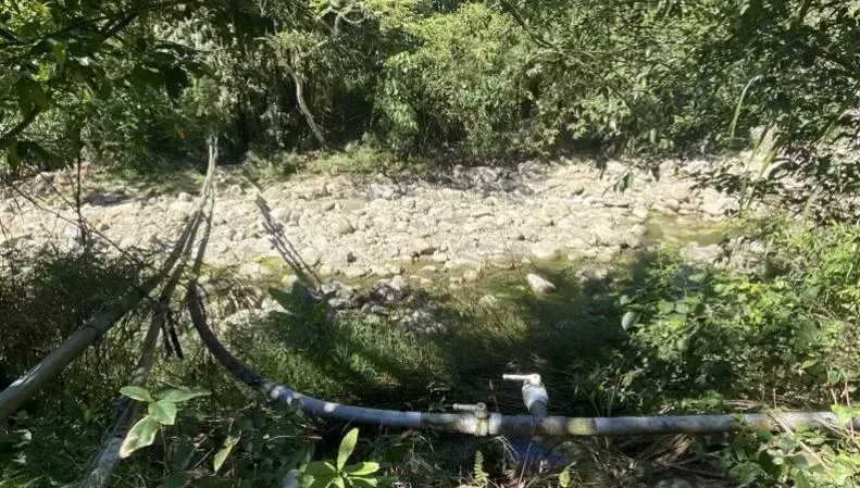 嘉義中埔60歲農疑巡田水失足墜溪　被發現已明顯死亡