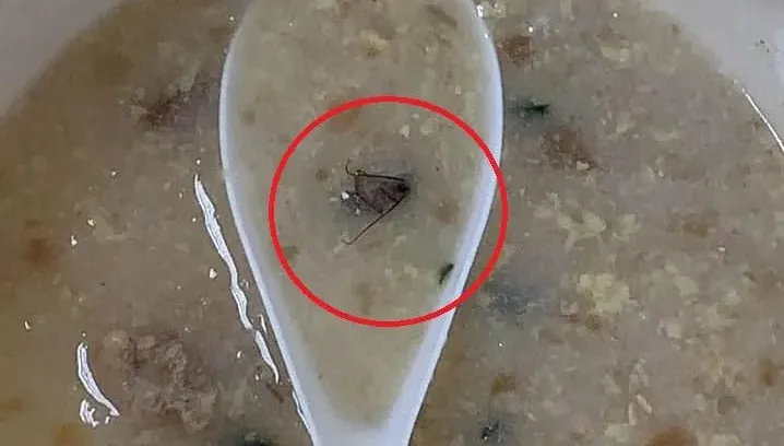 神秘配料讓美食變噩夢！他開心吃飯吃到「隱藏料理」　噁到全吐光