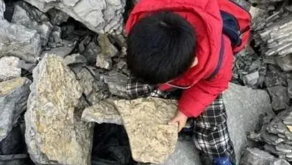 5歲弟爬山撿到「怪石頭」　專家鑑定證實：5億年前古生物化石