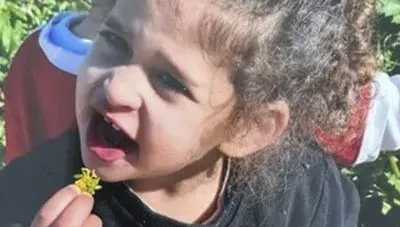 以巴開戰/曾目睹雙親遇害！美國4歲女童獲釋　傳哈瑪斯願延長停火2至4天