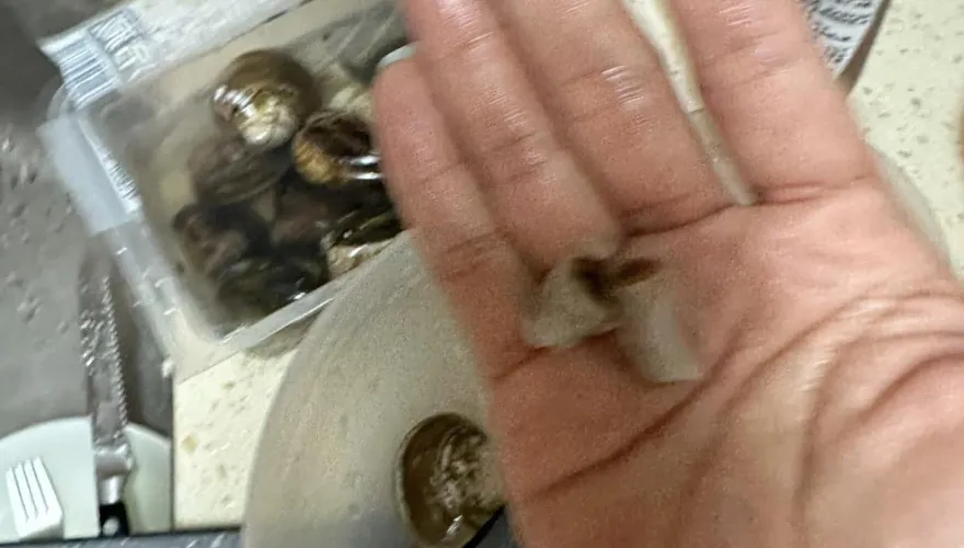 影/蛤蜊會抽菸？好市多密封蛤蜊驚見「菸屁股」　北市衛生局將追查