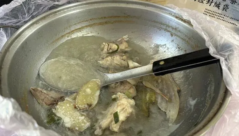 「月尾兔頭魨」吃2片就會死！專家揭河豚極強毒素　整身都有毒