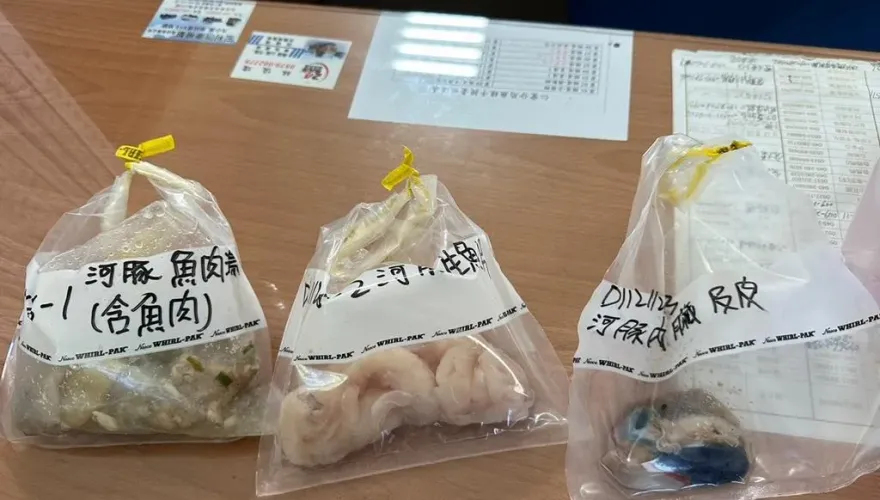 南投小吃店老闆吃河豚身亡！解剖推斷「食用過多」喪命